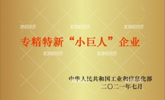 【喜报】再添沉磅荣誉！918.com机械人入选国度工信部专精特新“幼巨人”企业